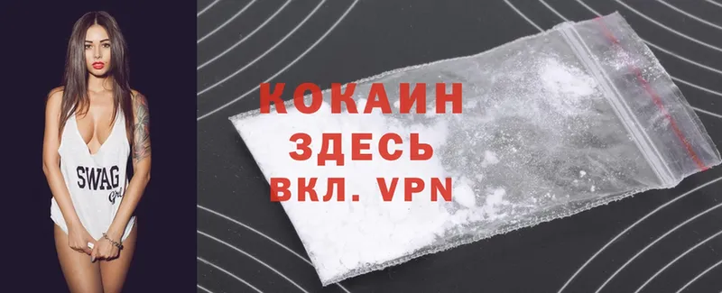 цены наркотик  Бакал  Cocaine Эквадор 